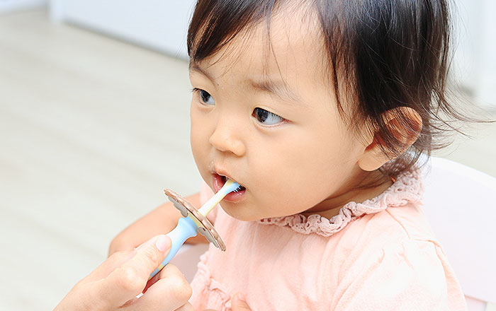 乳歯はいつから磨く？：上下の歯が生え揃ってきたら（1歳前後）歯ブラシデビュー