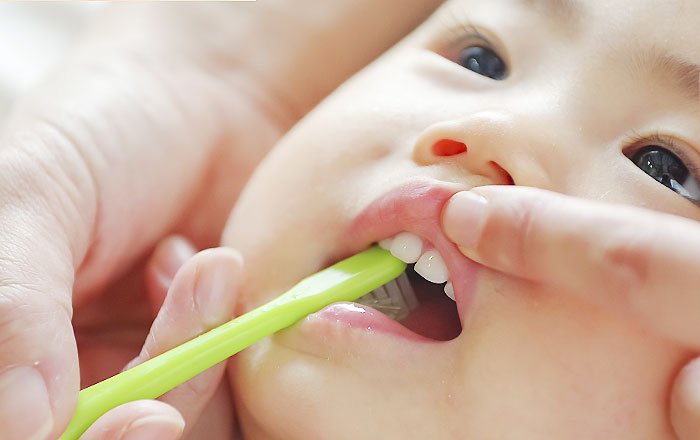 ③仕上げ磨きは小学校高学年まで続ける