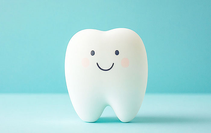 キシリトールガムの主な効果：虫歯菌の働きを弱める